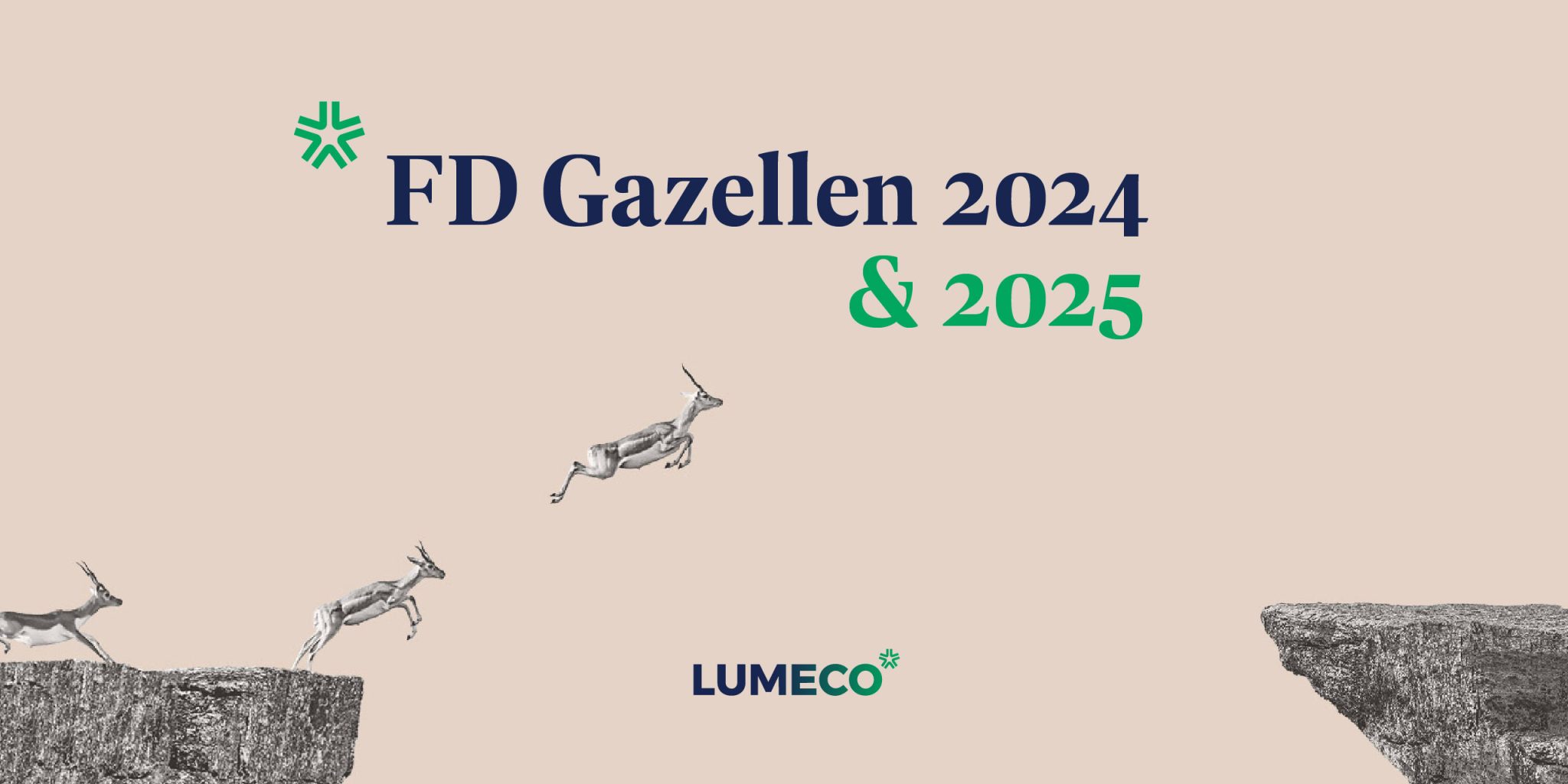 Lumeco opnieuw FD Gazelle! (2025)